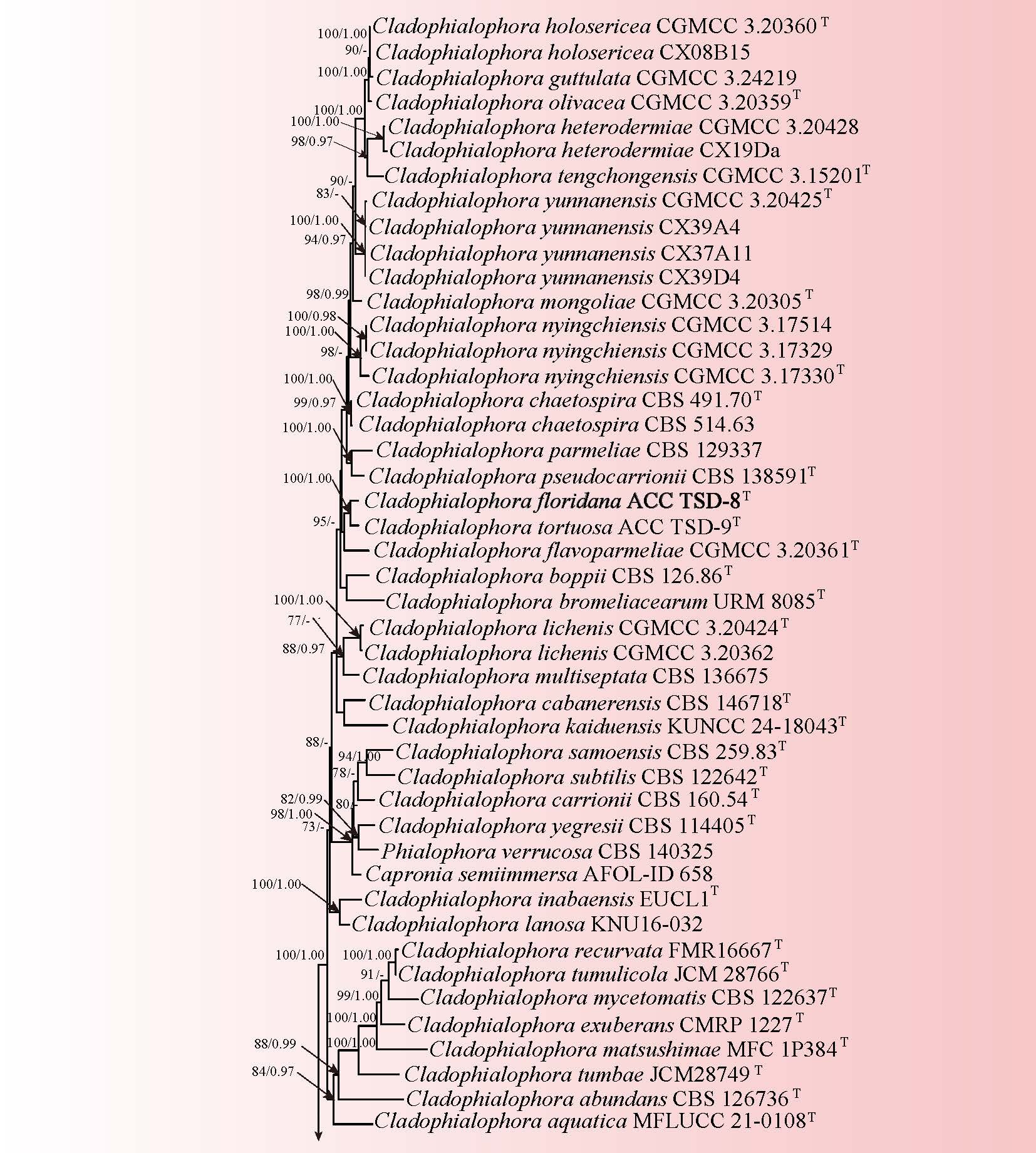 Figure 22
